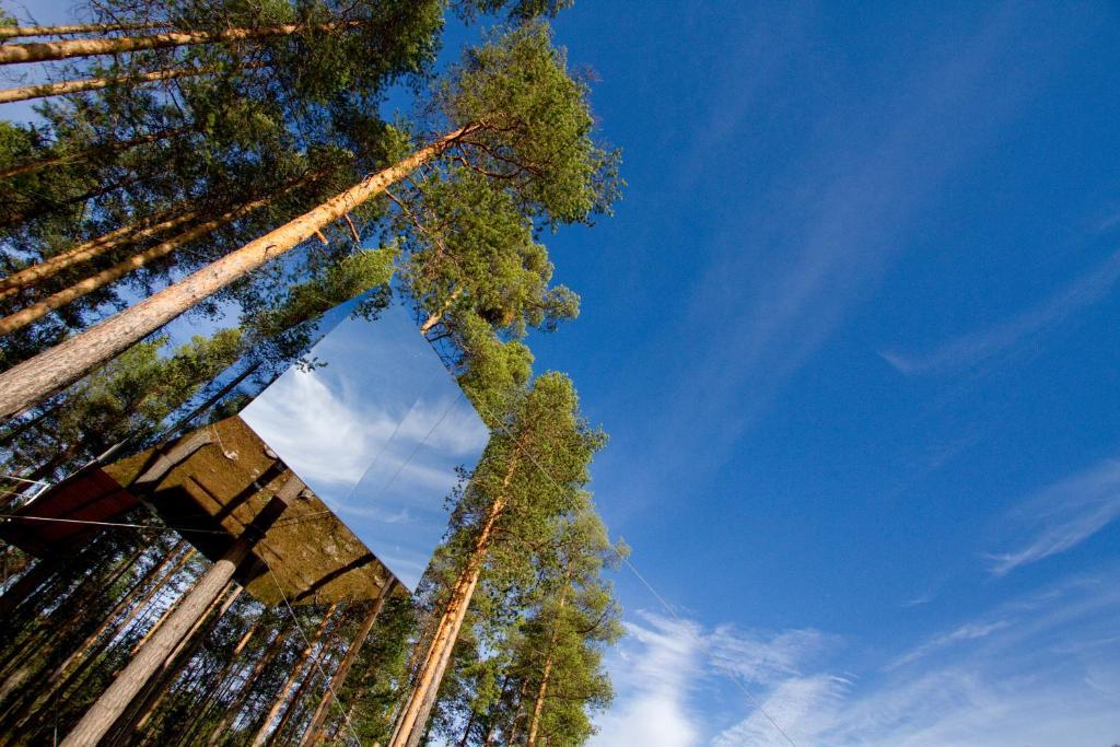 Treehotel Harads Quarto foto