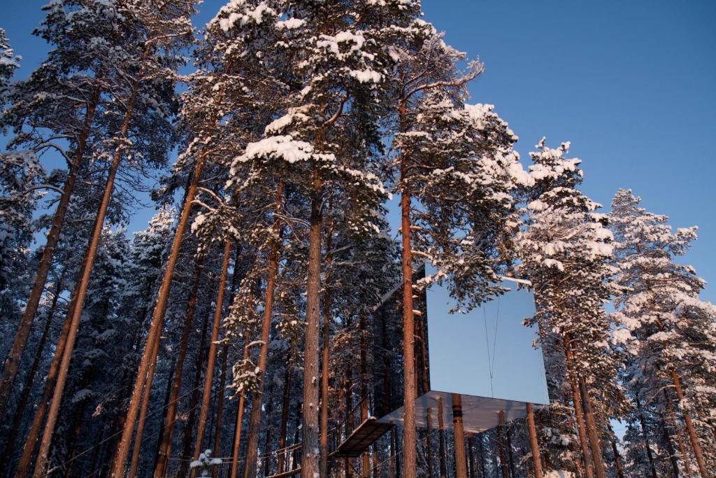 Treehotel Harads Quarto foto